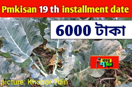 1000011464