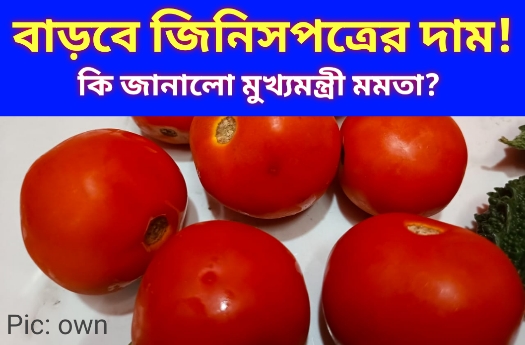 ভারত পাকিস্তান চরম উত্তেজনা 2025, হু হু করে বাড়বে জিনিসপত্রের দাম?