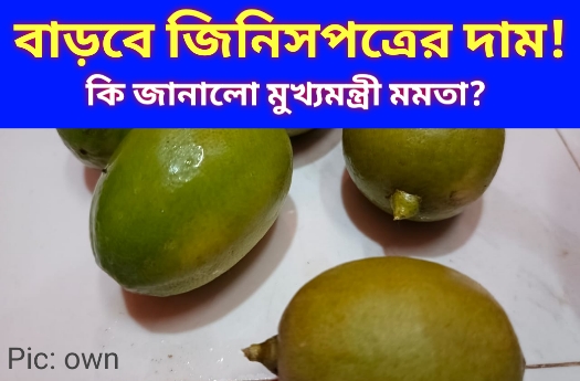 ভারত পাকিস্তান চরম উত্তেজনা 2025, হু হু করে বাড়বে জিনিসপত্রের দাম?