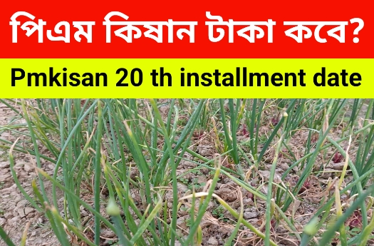 Pmkisan 20 th installment date