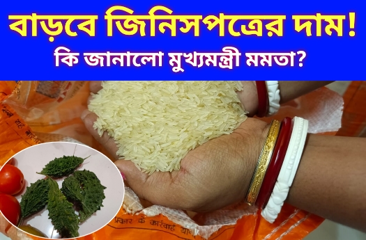 হু হু করে বাড়বে জিনিসপত্রের দাম?