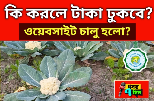 কৃষক বন্ধুর টাকা,