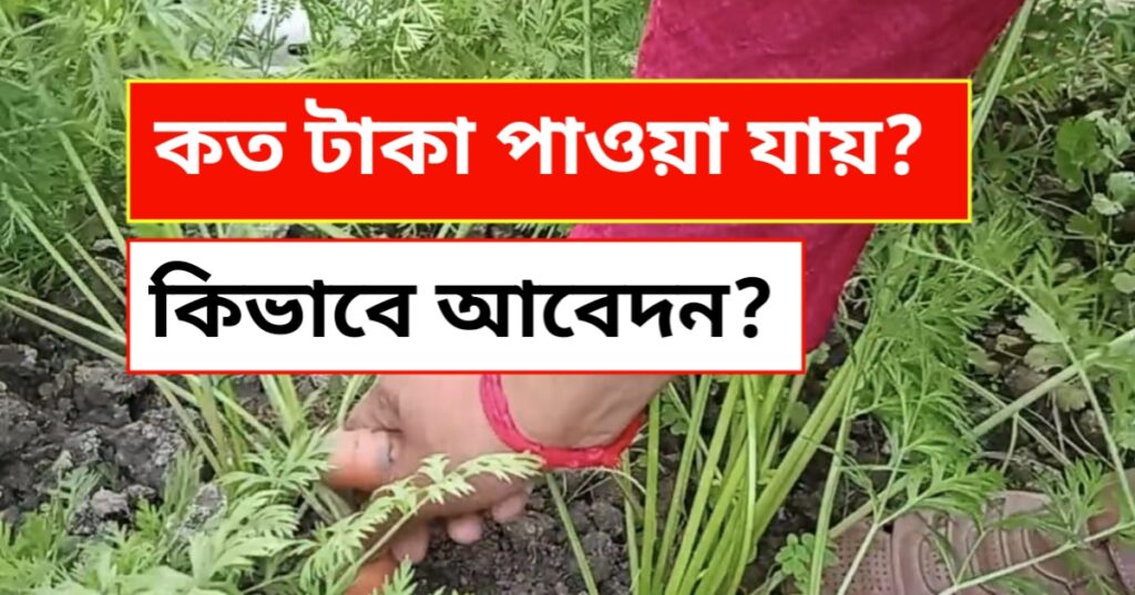 কৃষক বন্ধু প্রকল্পের টাকা,ও ফসলের ক্ষতিপূরণ