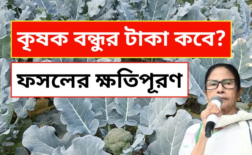 কৃষক বন্ধু প্রকল্প