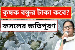 কৃষক বন্ধু প্রকল্প