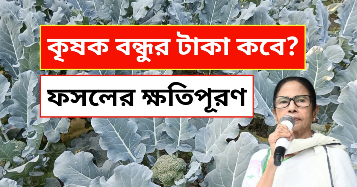কৃষক বন্ধু প্রকল্প