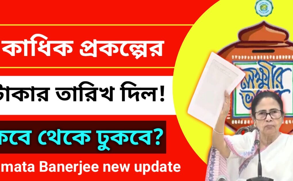 একাধিক প্রকল্পের টাকা