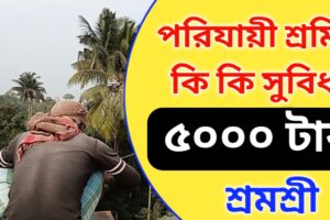 পরিযায়ী শ্রমিক